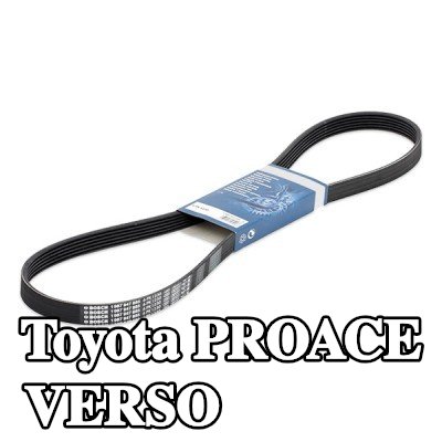 BOSCH حزام سيربنتين 1230mm, Number of ribs: 6 — 2016 Toyota Proace Verso