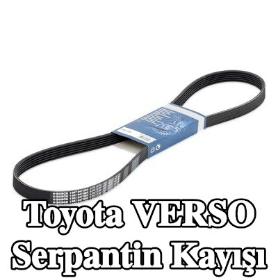 BOSCH Serpantin kayışı 1230mm, Number of ribs: 6 — Toyota Verso