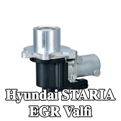 HELLA Contasız/sızdırmazlık elemanı olmayan EGR valfi — Hyundai Staria