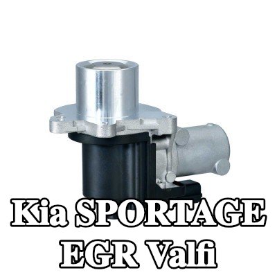 HELLA Contasız/sızdırmazlık elemanı olmayan EGR valfi — Kia Sportage