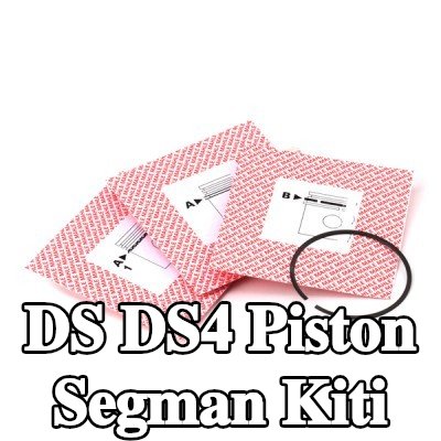 MAHLE Piston Segman Kiti — 2016 DS Ds4