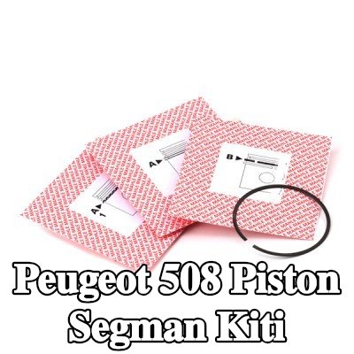 MAHLE Piston Segman Kiti — Peugeot 508