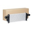 RIDEX Intercooler — Mercedes-Benz R-Class (1)