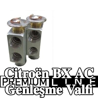 MAHLE AC genleşme valfi — 1990 Citroën Bx