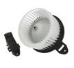 THERMOTEC Isıtıcı fan motoru — Audi Allroad (3)