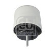 FEBI BILSTEIN Her İki Taraf Motor Yatağı, Elastomer — Volkswagen Phaeton (3)