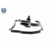 VAICO طقم فلتر ناقل الحركة الأوتوماتيكي مع حشيات/أختام, EXPERT KITS + — DS Ds3 (8)