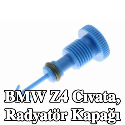 VAICO Cıvata, radyatör kapağı Orijinal VAICO Kalitesi — BMW Z4
