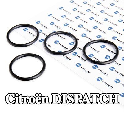 DR.MOTOR AUTOMOTIVE مجموعة حشيات، مشعب السحب — 2000 Citroën Dispatch