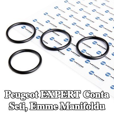 DR.MOTOR AUTOMOTIVE Conta Seti, emme manifoldu — 2000 Peugeot Expert