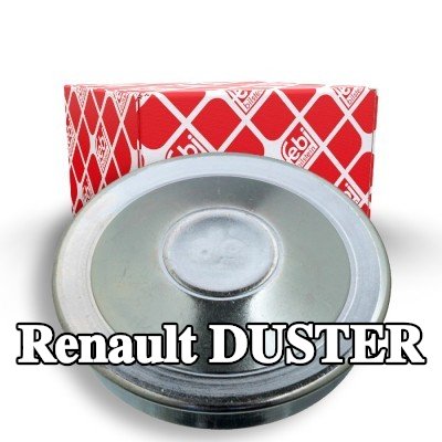 FEBI BILSTEIN غطاء، محمل العجلة — Renault Duster