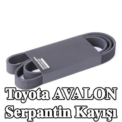 RIDEX Serpantin kayışı 1550mm, Number of ribs: 7 — Toyota Avalon