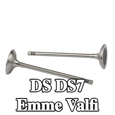ET ENGINETEAM Emme valfi Emme Tarafı, Stellite kaplı valf sapı — DS Ds7
