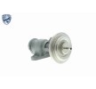 VEMO Contalı/sızdırmazlık elemanlı EGR valfi, EXPERT KITS + — Mercedes-Benz Vario (8)