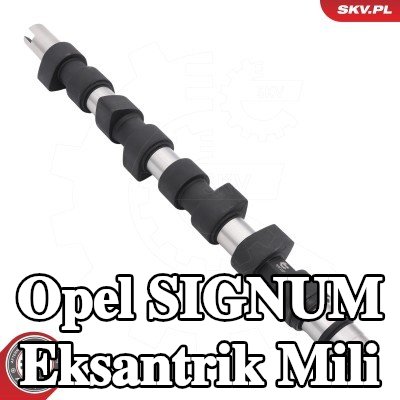 ESEN SKV Eksantrik Mili — Opel Signum