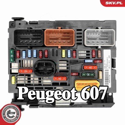 ESEN SKV وحدة التحكم، إدارة المحرك — Peugeot 607