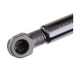 RIDEX Bagaj kapağı desteği 266mm — Nissan 350z (3)