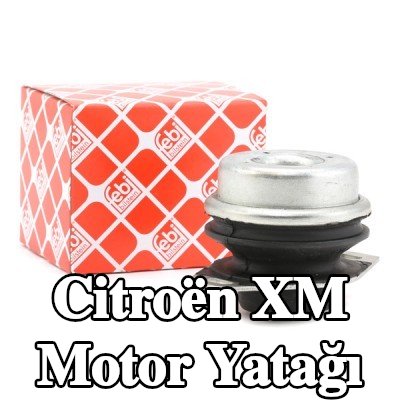 FEBI BILSTEIN Motor yatağı, sol, Elastomer — Citroën Xm