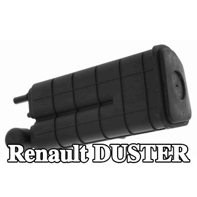 RENAULT صمام، مرشح الكربون المنشط — Renault Duster