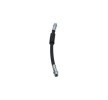 KAVO PARTS Fren hortumu Arka Aks, 263mm — 2016 Toyota Proace (4)