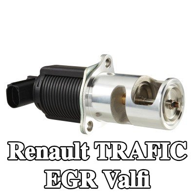 HELLA Contalı/sızdırmazlık elemanlı EGR valfi — 2002 Renault Trafic