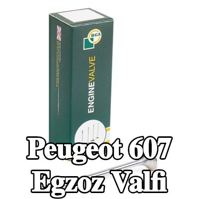 BGA Egzoz valfi — Peugeot 607
