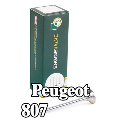 BGA صمام العادم — 2002 Peugeot 807