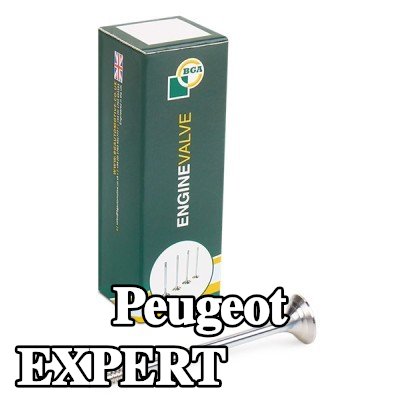 BGA صمام العادم — 2002 Peugeot Expert