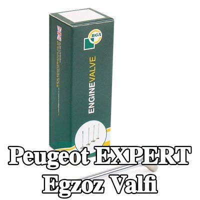 BGA Egzoz valfi — 2002 Peugeot Expert