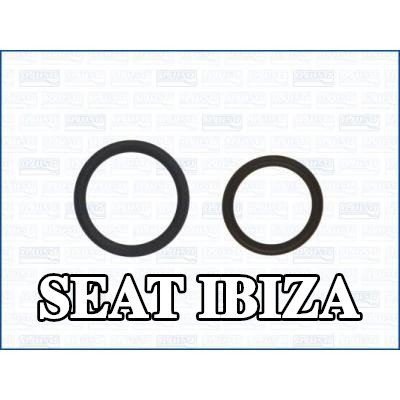 AJUSA مجموعة حشيات، الشاحن — SEAT Ibiza