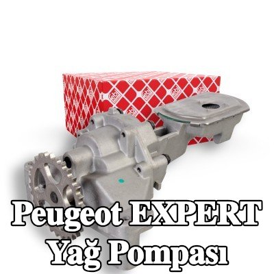FEBI BILSTEIN Dişlili yağ pompası — 2002 Peugeot Expert
