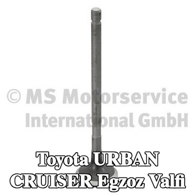 TRW Engine Component Egzoz valfi Nitrürlenmiş valf gövdesi — Toyota Urban Cruiser