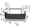 MAHLE Conta/sızdırmazlık elemanı olmayan motor yağı soğutucusu — 2012 Ford Focus (1)