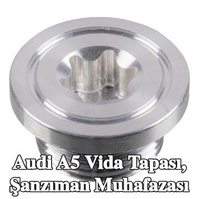 FEBI BILSTEIN Vida Tapası, şanzıman muhafazası — Audi A5