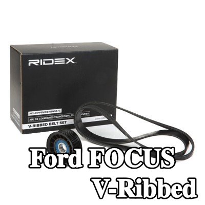 RIDEX مجموعة أحزمة V-Ribbed — Ford Focus