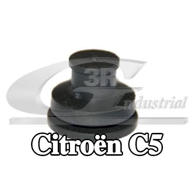 3RG مصد، غطاء المحرك — 2008 Citroën C5