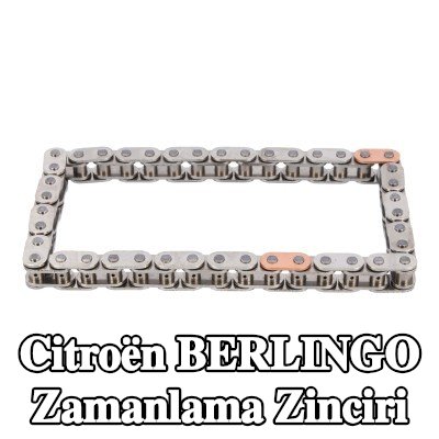 FEBI BILSTEIN Zamanlama zinciri — Citroën Berlingo