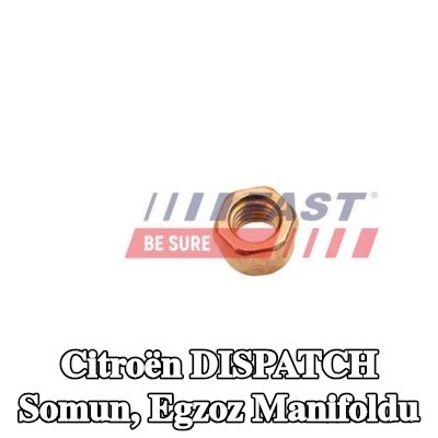 FAST Somun, egzoz manifoldu — Citroën Dispatch