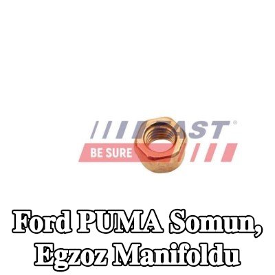 FAST Somun, egzoz manifoldu — 2000 Ford Puma