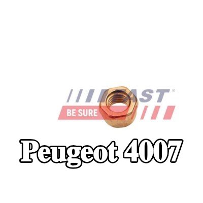 FAST صامولة، مشعب العادم — Peugeot 4007