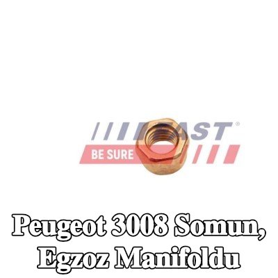 FAST Somun, egzoz manifoldu — 2012 Peugeot 3008