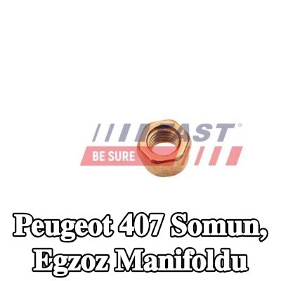 FAST Somun, egzoz manifoldu — 2004 Peugeot 407