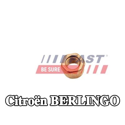 FAST صامولة، مشعب العادم — 2012 Citroën Berlingo