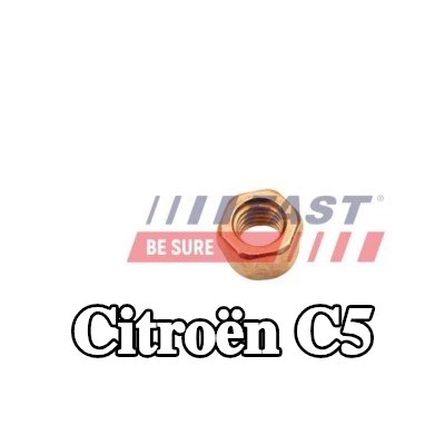 FAST صامولة، مشعب العادم — 2012 Citroën C5