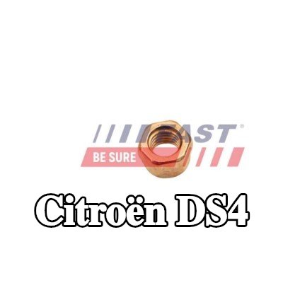 FAST صامولة، مشعب العادم — Citroën Ds4