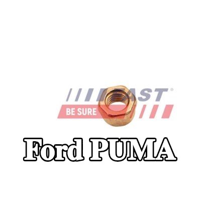 FAST صامولة، مشعب العادم — 2000 Ford Puma