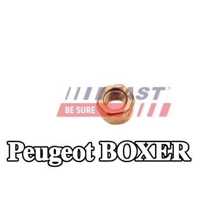 FAST صامولة، مشعب العادم — Peugeot Boxer