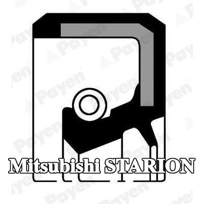 PAYEN حشية العمود, ناقل الحركة اليدوي المدخل — Mitsubishi Starion