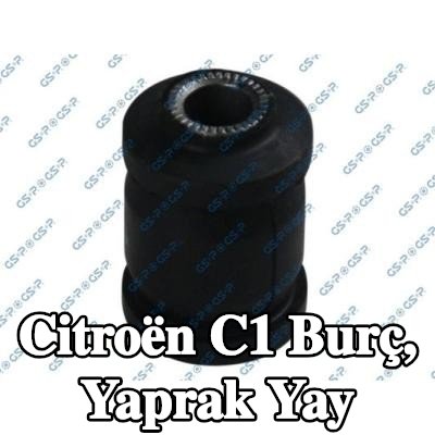 GSP Burç, yaprak yay — Citroën C1
