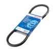 BOSCH V-kayışı 763mm — Renault Safrane (1)